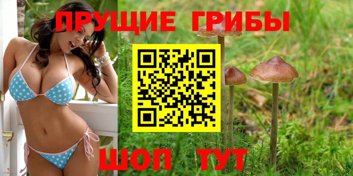 Галлюциногенные грибы MAGIC MUSHROOMS Петропавловск-Камчатский