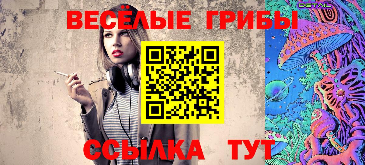 Петропавловск-Камчатский  продажа наркотиков  Вход с VPN  Галлюциногенные грибы прущие грибы 